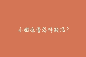 小猫冻僵怎样救活？