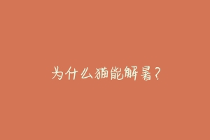 为什么猫能解暑？