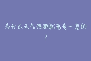 为什么天气热猫就奄奄一息的？