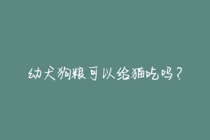 幼犬狗粮可以给猫吃吗？