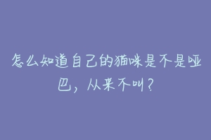 怎么知道自己的猫咪是不是哑巴，从来不叫？