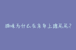 猫咪为什么在床单上蹭屁屁？