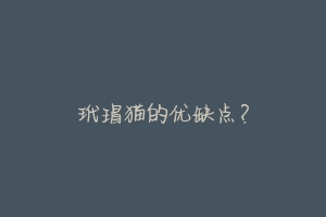 玳瑁猫的优缺点？