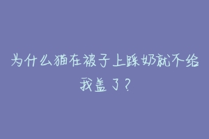 为什么猫在被子上踩奶就不给我盖了？