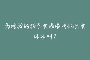 为啥我的猫不会喵喵叫他只会哇哇叫？