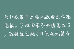 为什么家里无缘无故那么多死老鼠。下班回来不知道怎么了，就接连出现了4只死老鼠在不同地方。求解？