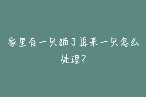 家里有一只猫了再来一只怎么处理？