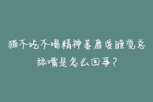 猫不吃不喝精神萎靡爱睡觉总舔嘴是怎么回事？