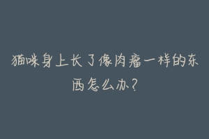 猫咪身上长了像肉瘤一样的东西怎么办？