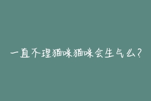 一直不理猫咪猫咪会生气么？