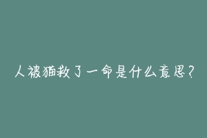 人被猫救了一命是什么意思？