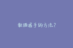 教猫握手的方法？