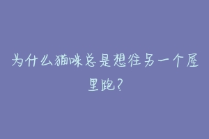 为什么猫咪总是想往另一个屋里跑？