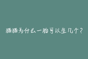 猫猫为什么一胎可以生几个？