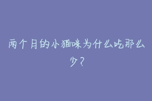 两个月的小猫咪为什么吃那么少？