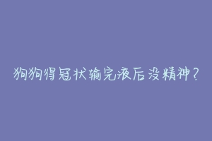 狗狗得冠状输完液后没精神？