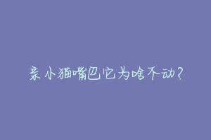 亲小猫嘴巴它为啥不动？