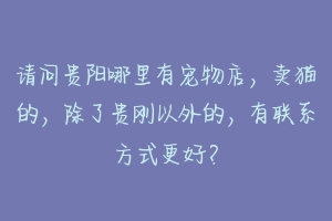 请问贵阳哪里有宠物店，卖猫的，除了贵刚以外的，有联系方式更好？