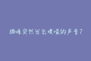 猫咪突然发出噗嗤的声音？