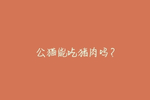 公猫能吃猪肉吗？