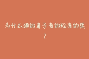 为什么猫的鼻子有的粉有的黑？