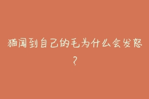 猫闻到自己的毛为什么会发怒？