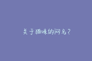 关于猫咪的网名？