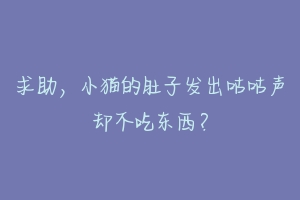 求助，小猫的肚子发出咕咕声却不吃东西？