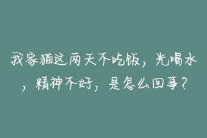 我家猫这两天不吃饭，光喝水，精神不好，是怎么回事？