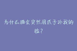 为什么猫会突然用爪子扑我的脸？