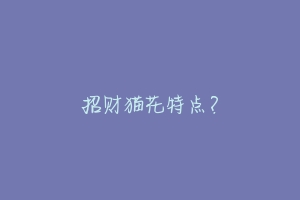 招财猫花特点？