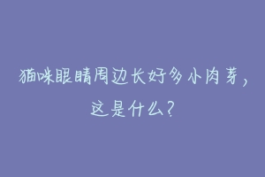 猫咪眼睛周边长好多小肉芽，这是什么？