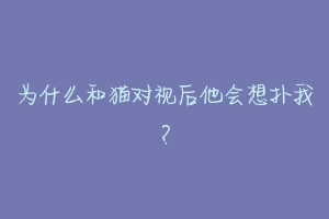 为什么和猫对视后他会想扑我？