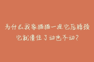 为什么我家猫猫一提它后脖颈它就僵住了动也不动？