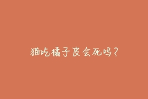 猫吃橘子皮会死吗？