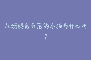 从妈妈离开后的小猫为什么叫？