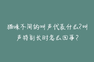 猫咪不同的叫声代表什么?叫声特别长时怎么回事？