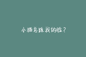 小猫总踩我的脸？