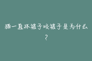 猫一直抓被子咬被子是为什么？