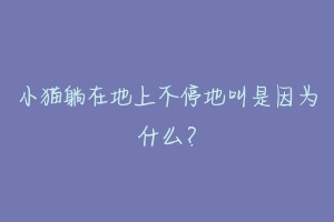 小猫躺在地上不停地叫是因为什么？