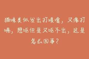 猫咪类似发出打喷嚏，又像打嗝，想呕但是又呕不出，这是怎么回事？