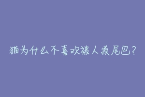 猫为什么不喜欢被人摸尾巴？