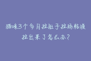 猫咪3个多月拉肚子拉肠粘膜拉出来了怎么办？