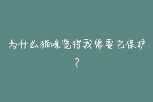 为什么猫咪觉得我需要它保护？