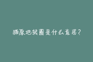 猫原地转圈是什么意思？