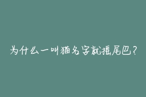 为什么一叫猫名字就摇尾巴？