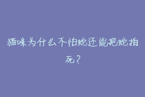 猫咪为什么不怕蛇还能把蛇拍死？