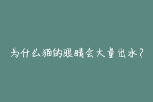 为什么猫的眼睛会大量出水？