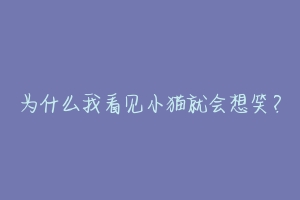 为什么我看见小猫就会想笑？