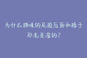 为什么猫咪的屁股后面和脖子那老是湿的？